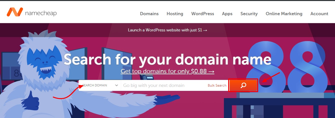 buying a domain name at namecheap